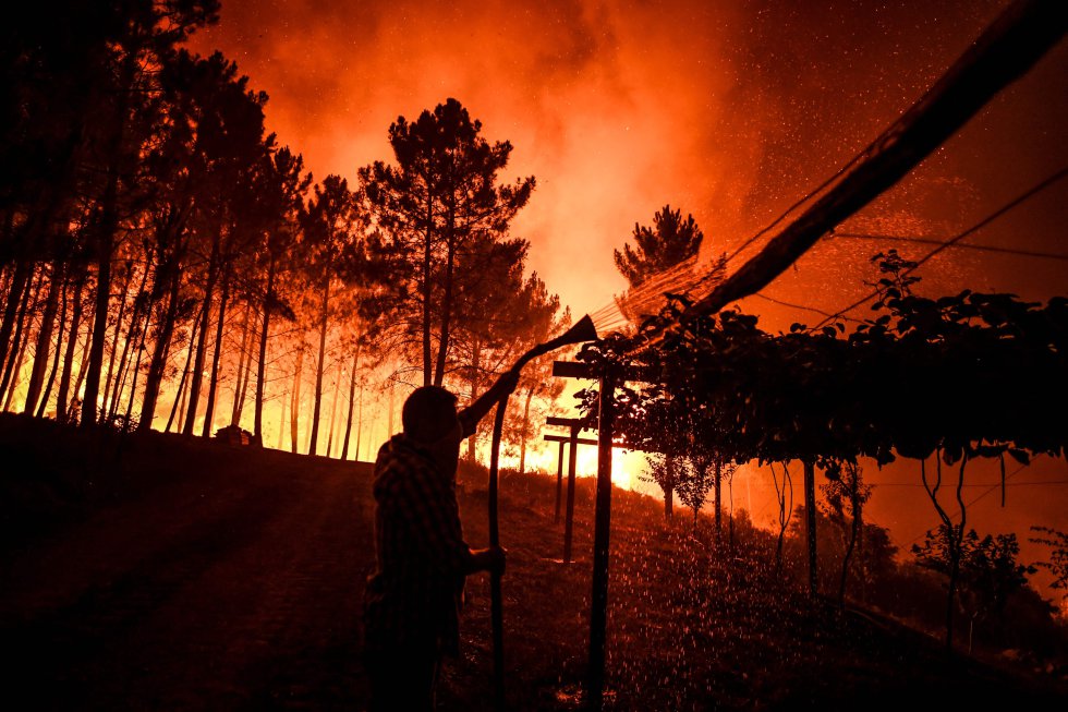 Efectivos trabajando en el incendio de Castelo Blanco este domingo