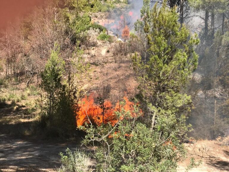 incendio andratx