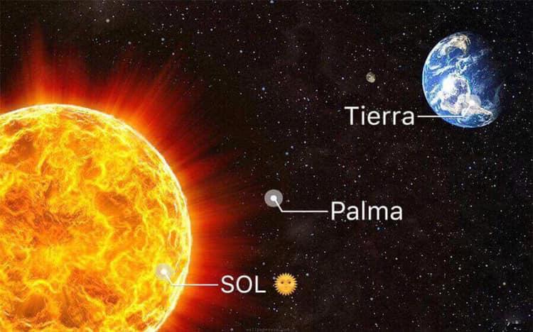 sol palma tierra