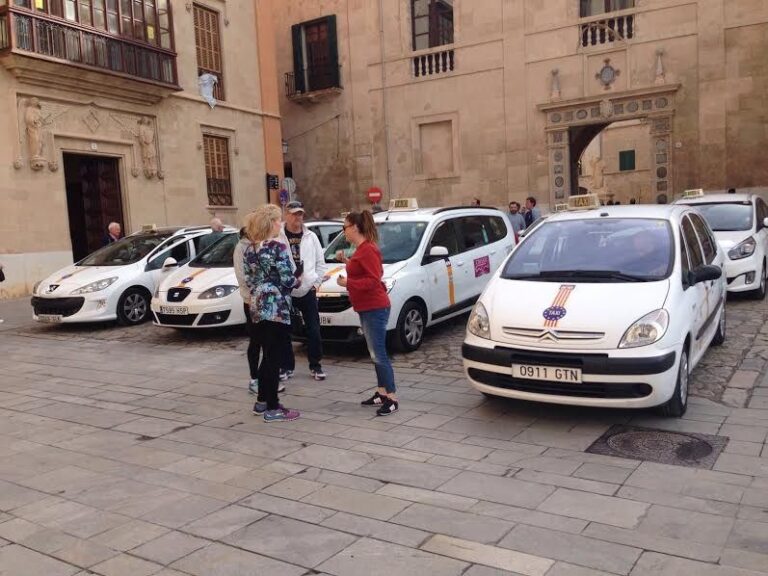 taxis mirador de la seu