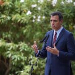 pedro sanchez palma