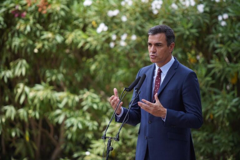 pedro sanchez palma