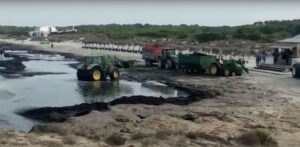 retirada posidonia sa rapita y ses covetes