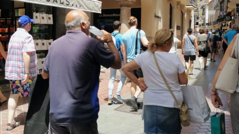 calor palma