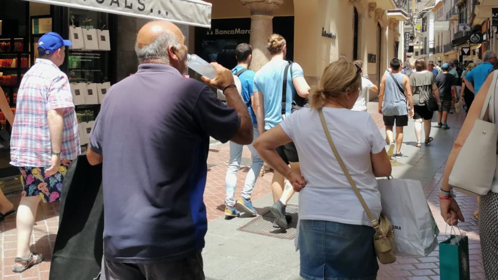 calor palma