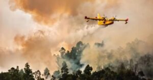 incendio canarias