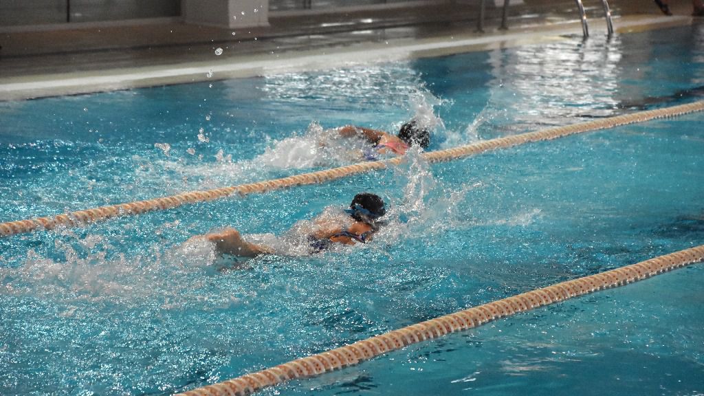 cursos de natación IME
