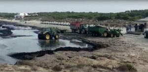 retirada posidonia sa rapita y ses covetes