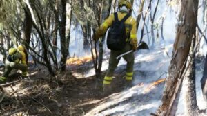 incendio gran canaria