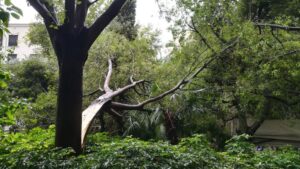 gota fr&iacute;a Mallorca