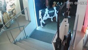 Fotograma de las c&aacute;maras de seguridad del establecimiento.