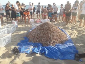 monta&ntilde;a colillas