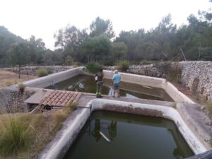 safareig o balsa de agua
