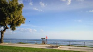 can pere antoni bandera roja