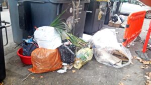 basura palma