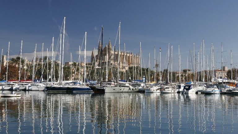 Palma barcos