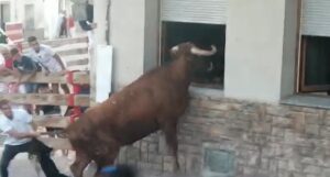 toro ventana Milagro