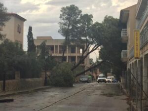 Inundaciones en Santany&iacute; por la gota fr&iacute;a