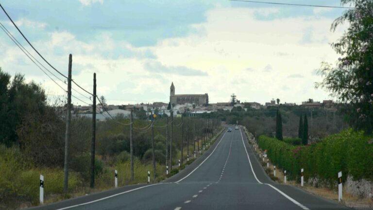 SANTANYÍ