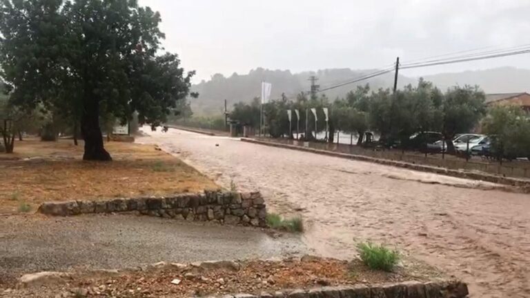 gota fría