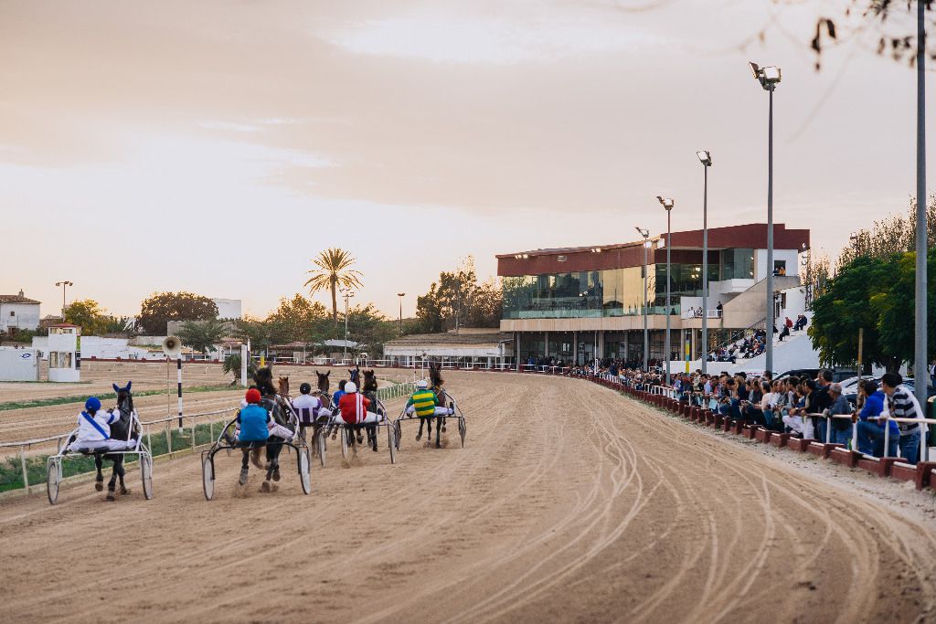 hipódromo, carreras caballos, trot