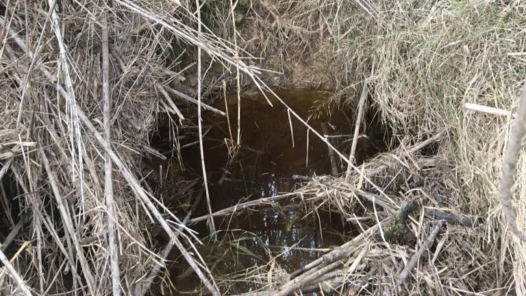 torrent de Sa Pabla