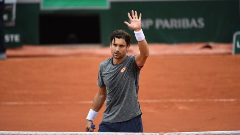 david Ferrer