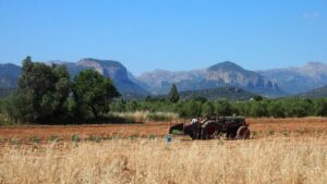 agricultura ecologica