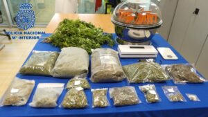 plantaci&oacute;n de marihuana