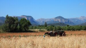 agricultura ecologica