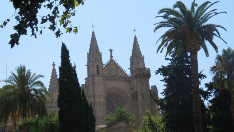 sol cielo despejado buen tiempo verano calor