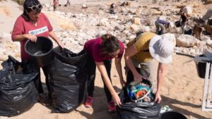 s'Arenalet des Verger i Sa Font Celada