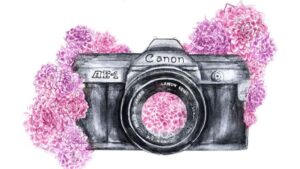 Exposici&oacute;n andratx