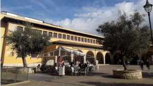 plaza mercado olivar tiempo