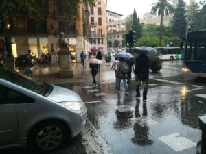 lluvia, palma