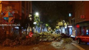 &aacute;rbol bomberos