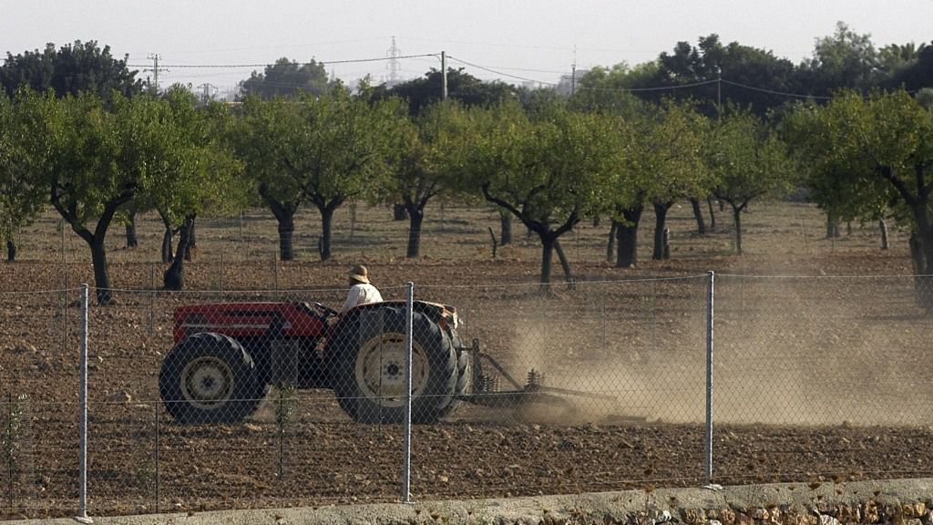 agricultura