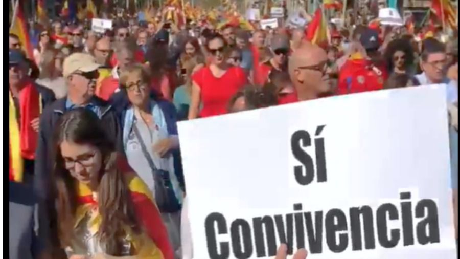 Foto: @mosmovem Vídeo: Cosme Bernat Brull