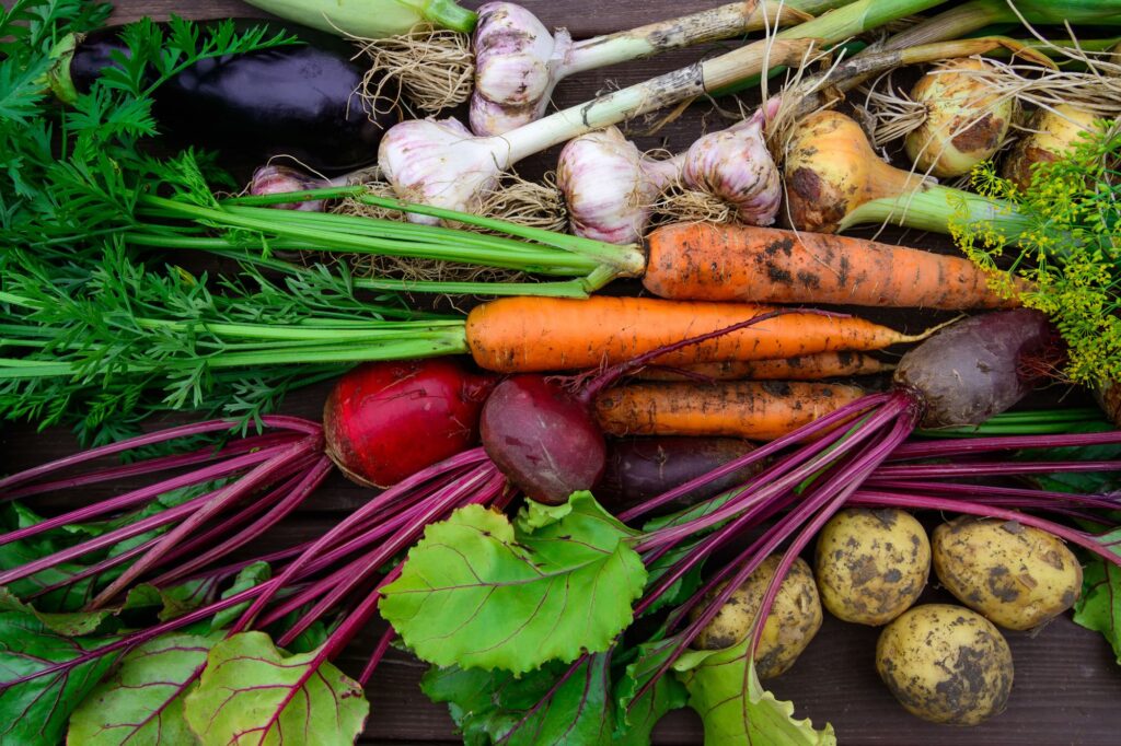comida ecologica