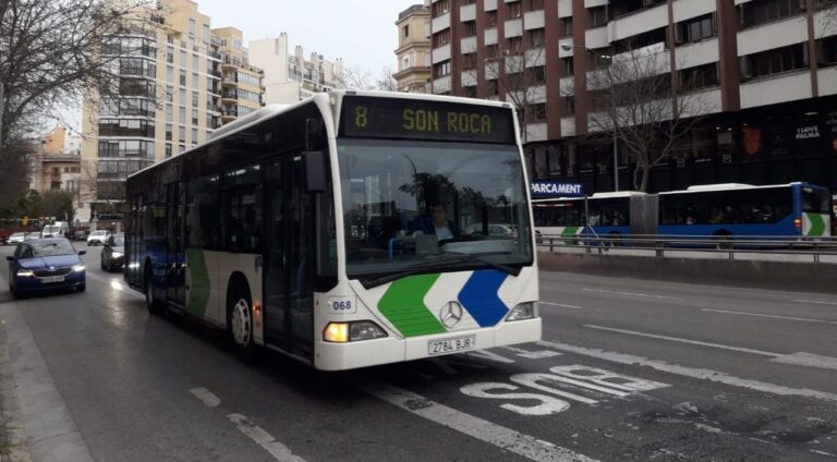 EMT palma