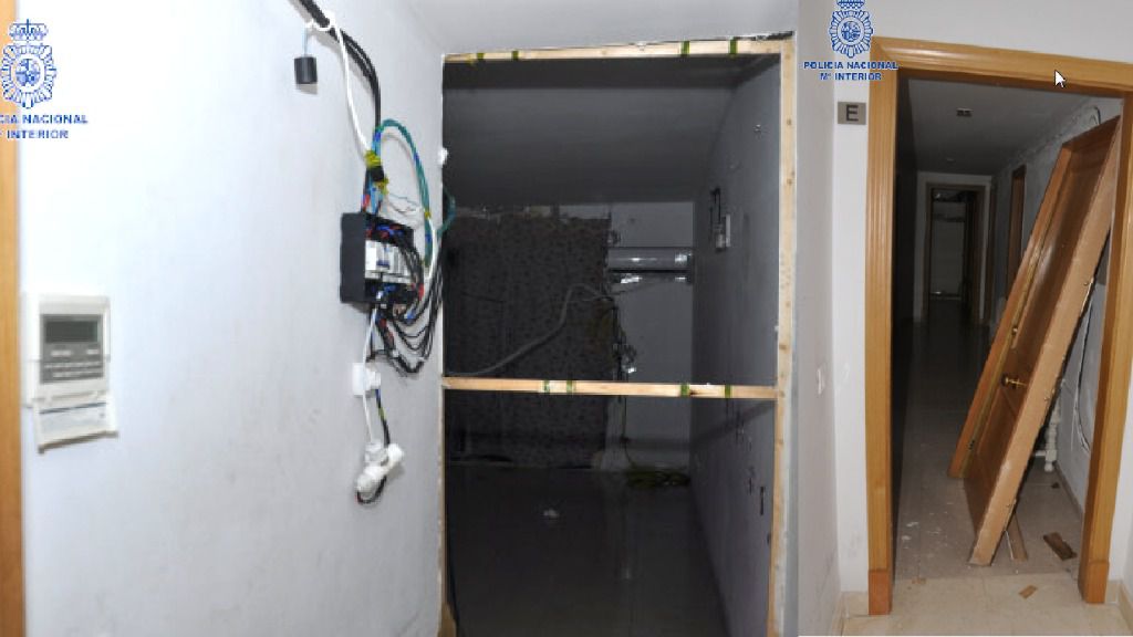 piso plantación palma