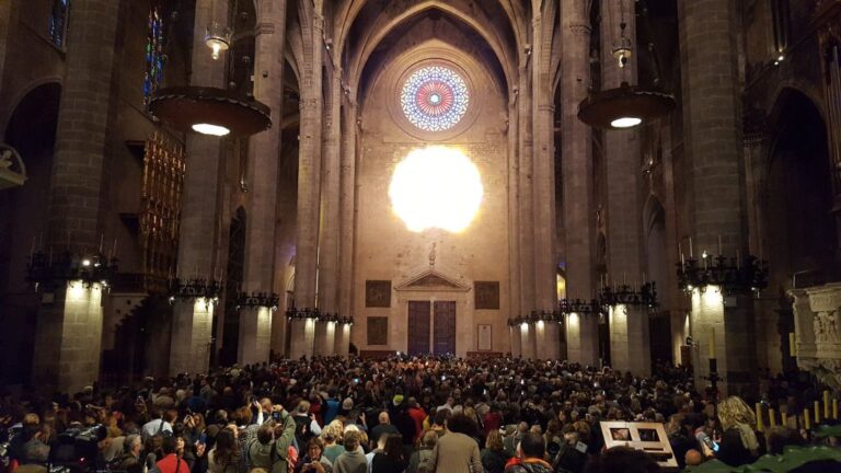 espectacle del vuit rosetón 2016