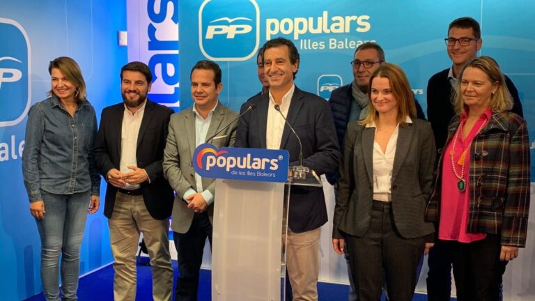 pp elecciones 10n