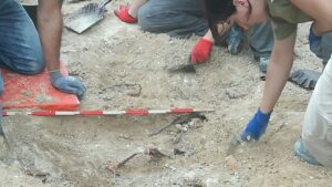 fosa com&uacute;n Porreres Guerra Civil fascismo memoria hist&oacute;rica