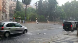 lluvia tormenta palma