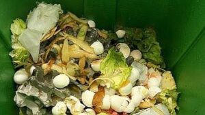 recogida selectiva de materia org&aacute;nica