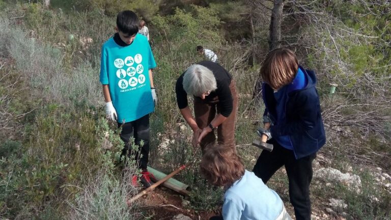 reforestando Na Burguesa