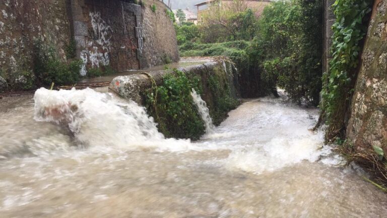 temporal soller