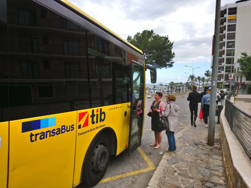 autobus tib