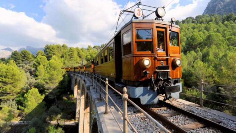 tren de sóller